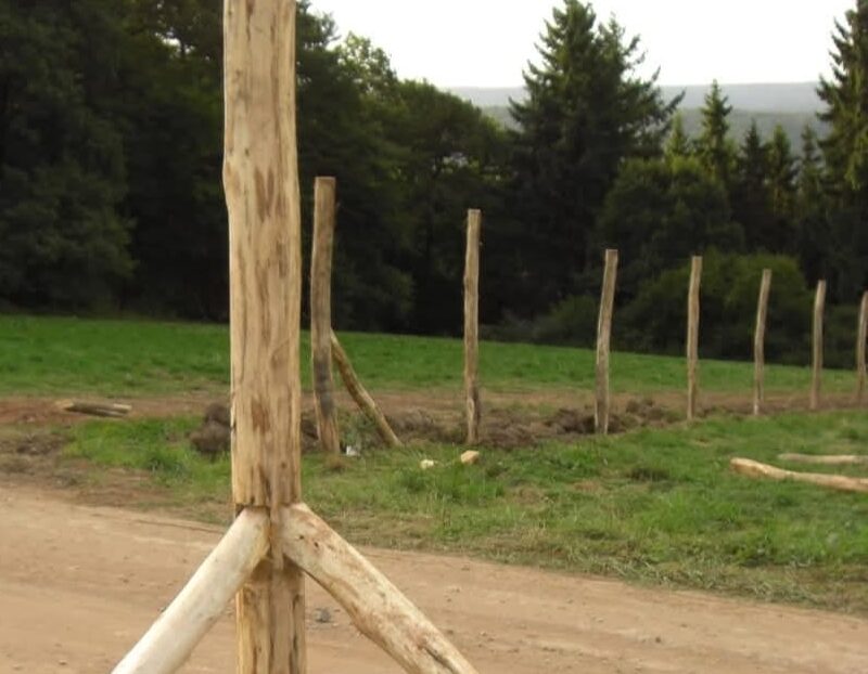 whatsapp image 2026 03 07 at 21.27.19