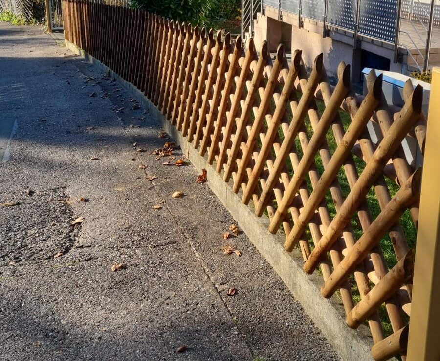 whatsapp image 2026 03 17 at 16.57.22