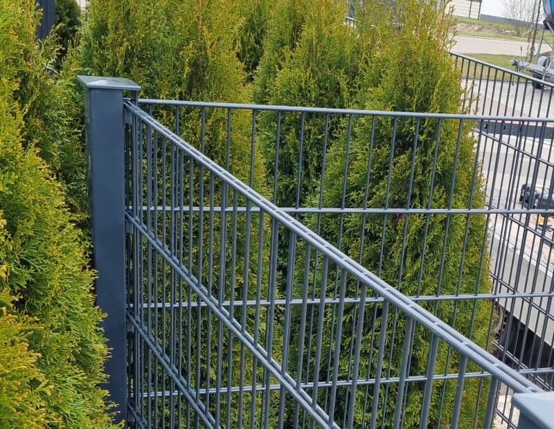 whatsapp image 2026 03 17 at 18.49.41